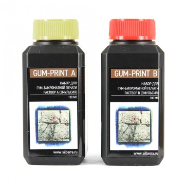 Набор для гумми-печати SILBERRA GUM-PRINT 2х100мл