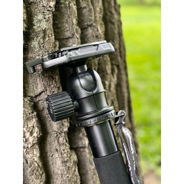 Монопод Velbon + Velbon QHD-62Q